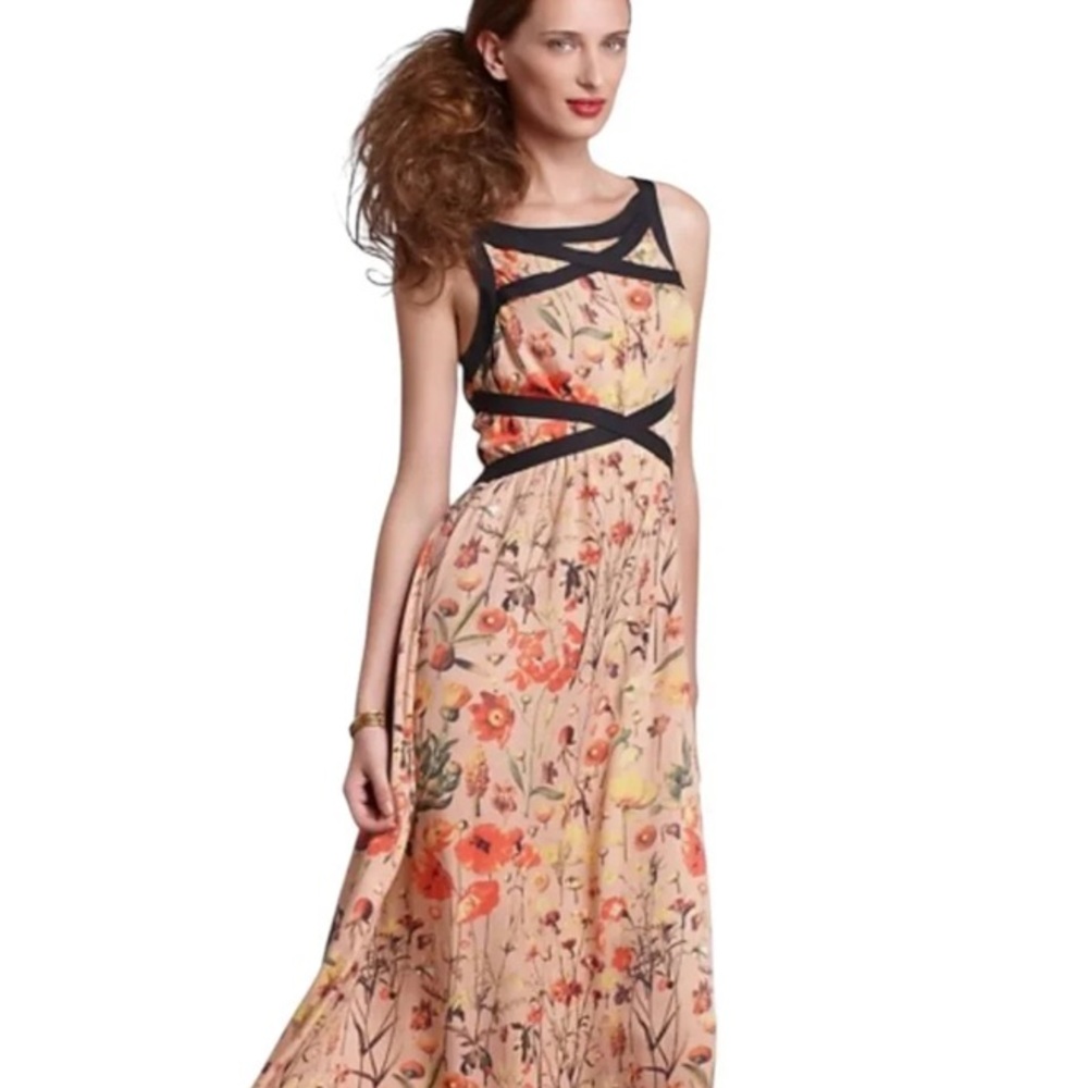 Treasure by Samantha Pleet Floral Renaissance Dress Anthropologie